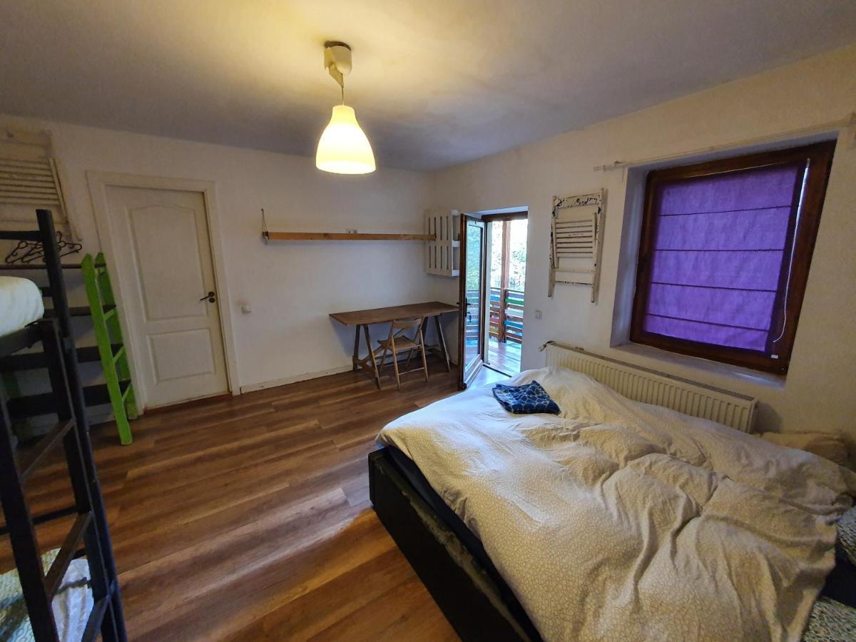 Zen Hostel Cluj-Napoca Eksteriør bilde